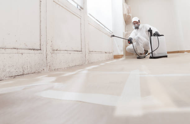 24/7 Emergency Attic Mold Removal experts in Helmetta, NJ